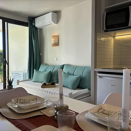 Avec Vue Mer, Piscine Et Parking A La Bocca - Fr-1-609-93 Appartamento *